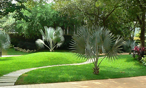 residential landscape
